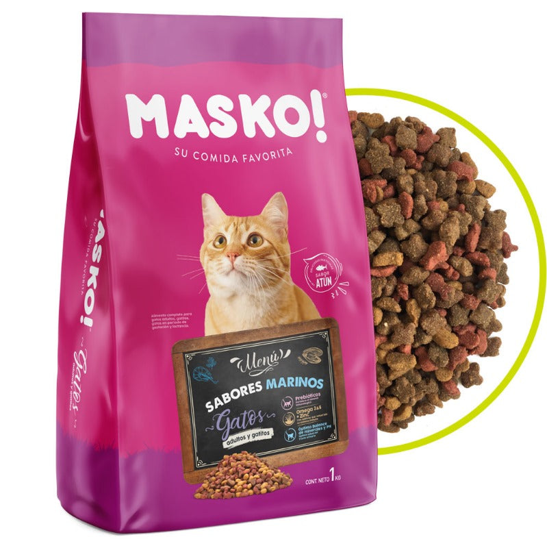 Masko cat adulto gato
