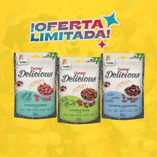Snack delicious catnip