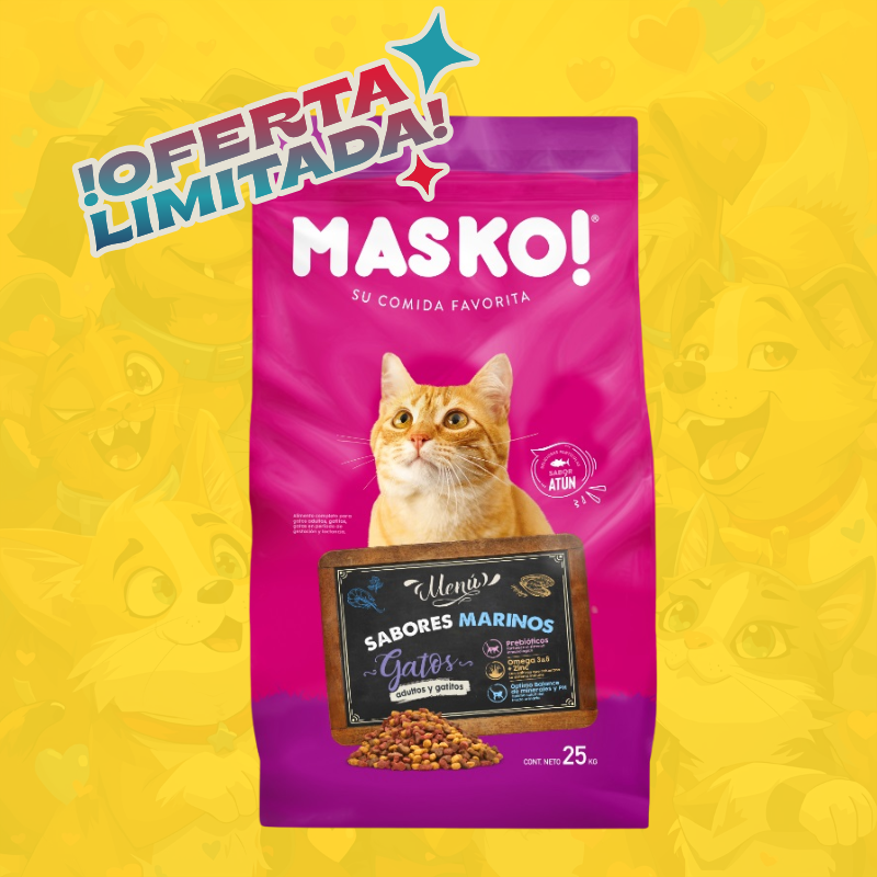 Masko cat adulto gato